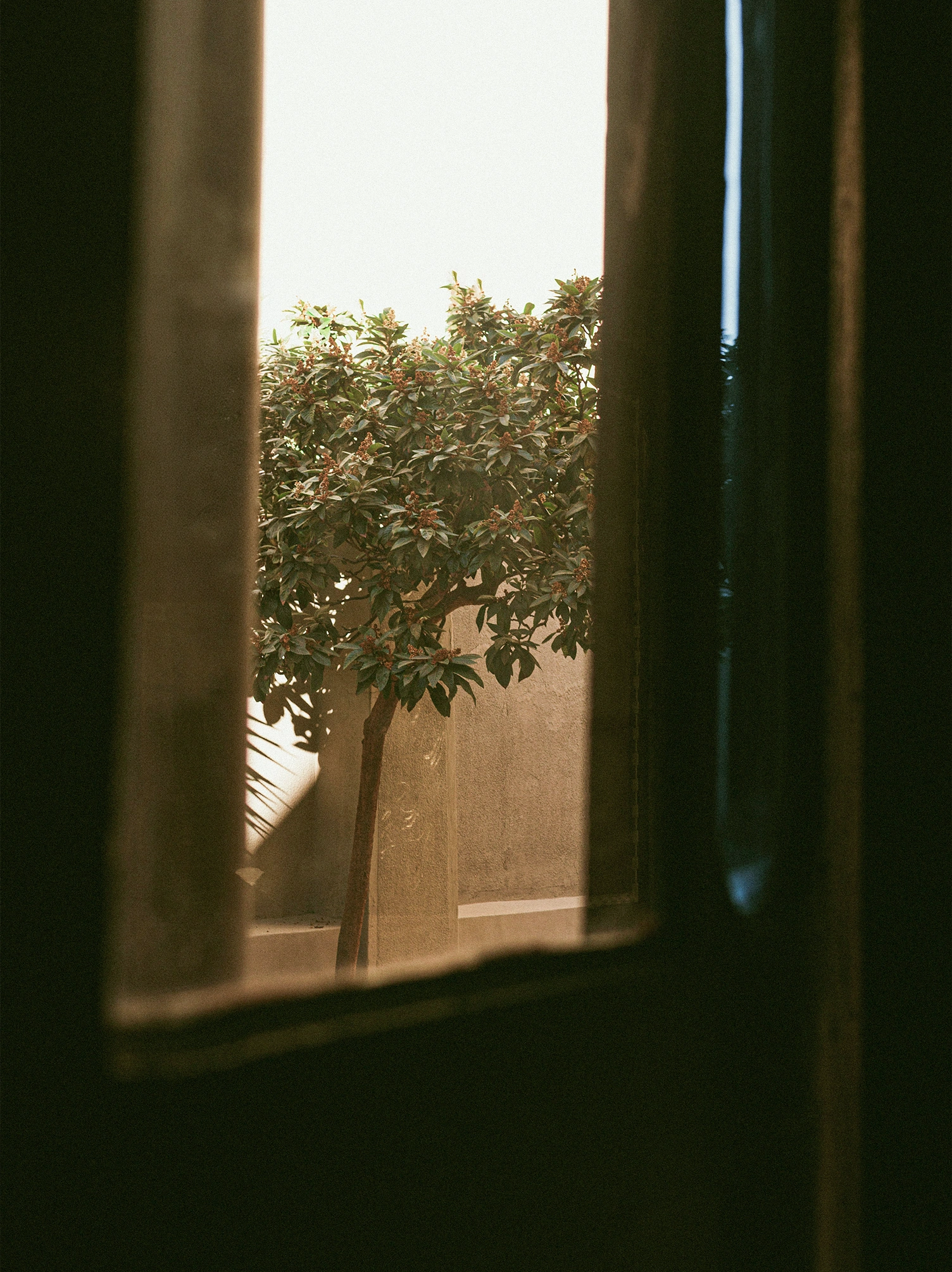 A serene sanctuary space designed for longevity